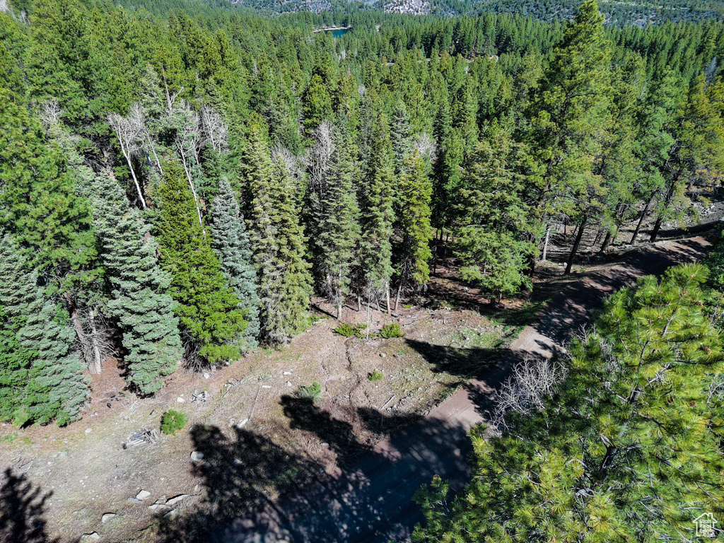 Bird's eye view with a wooded view
