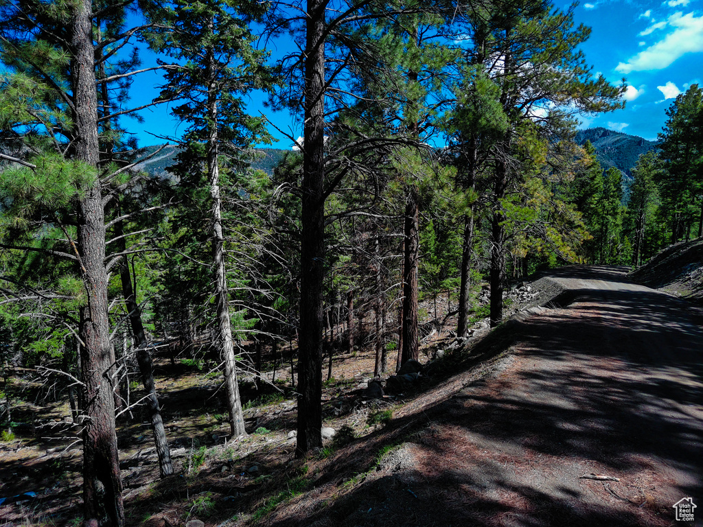 Exterior space featuring a forest view