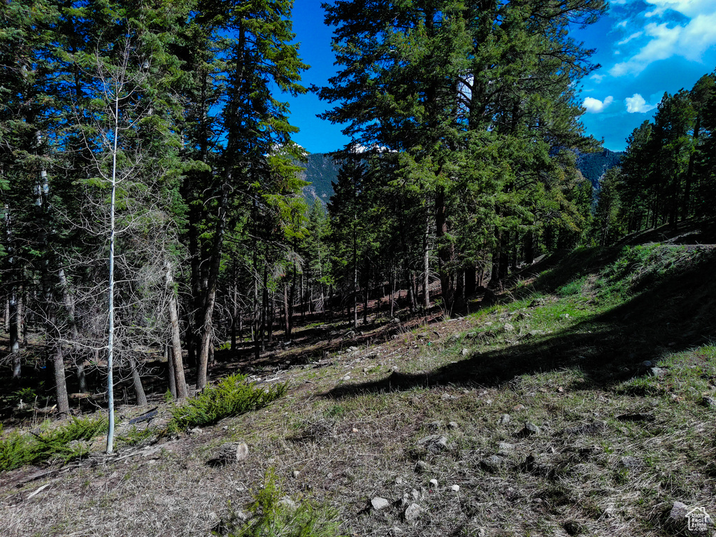 View of local wilderness featuring a forest view