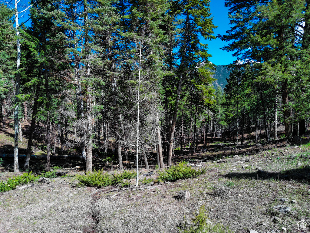 View of landscape with a wooded view