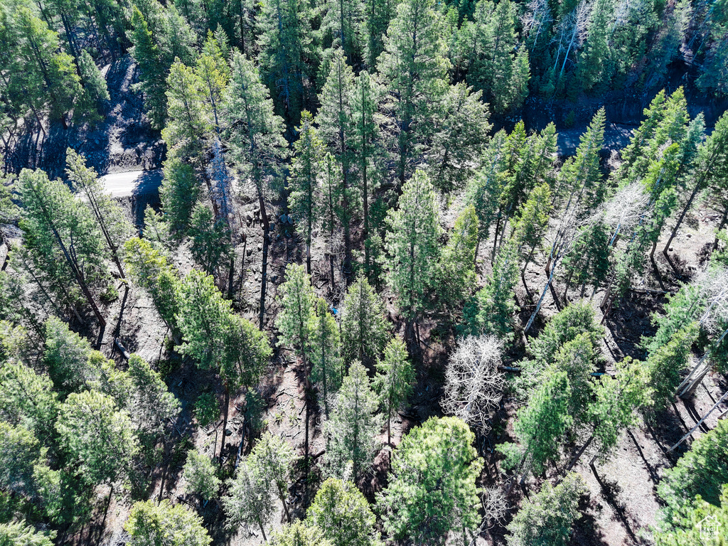 Birds eye view of property featuring a view of trees