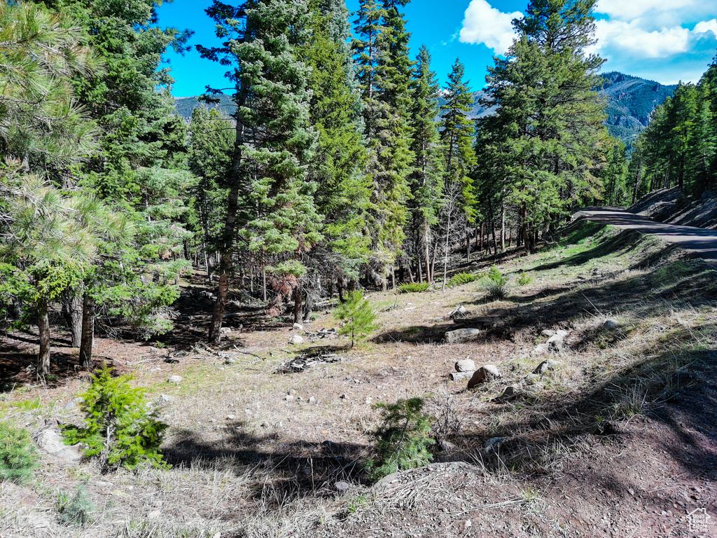 View of landscape featuring a forest view