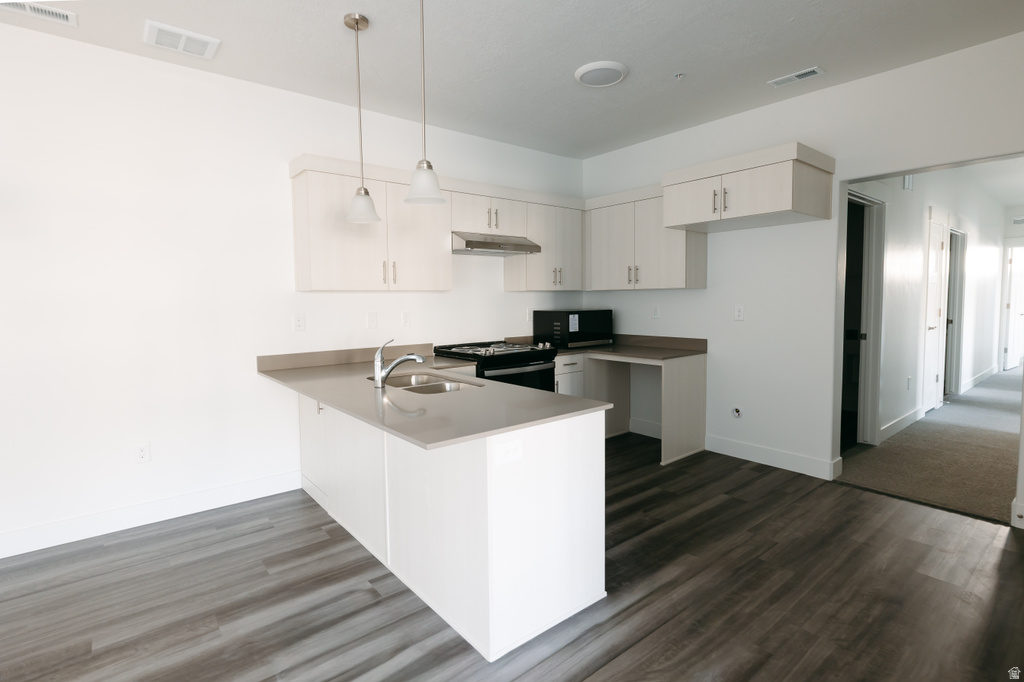 13687 S HANLEY LN #DD102 Riverton, UT 84096