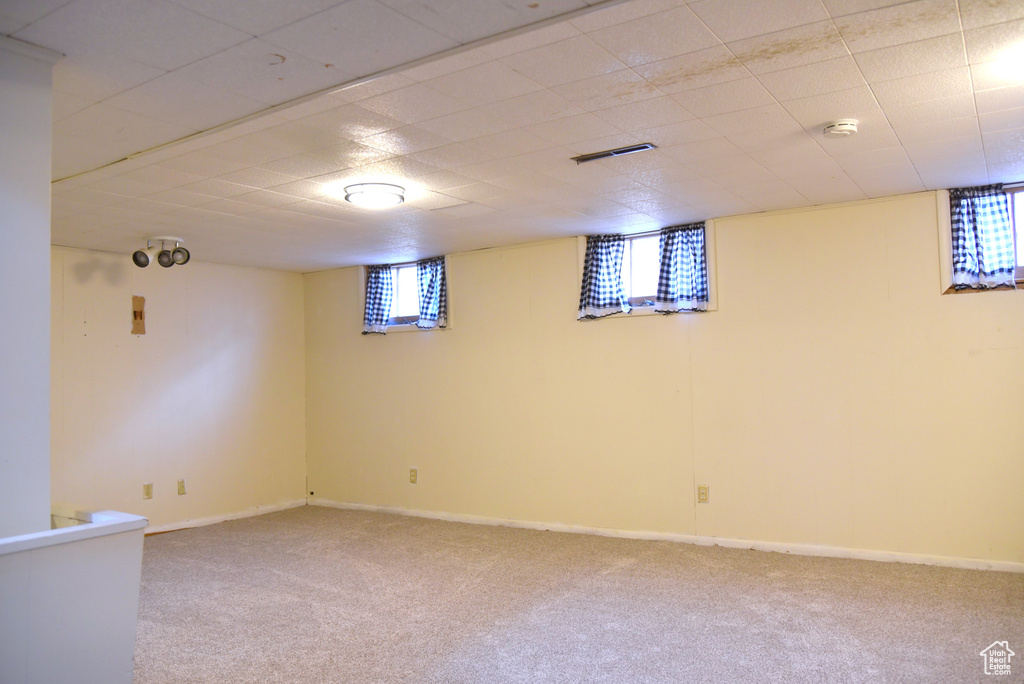 Below grade area with visible vents, baseboards, and carpet