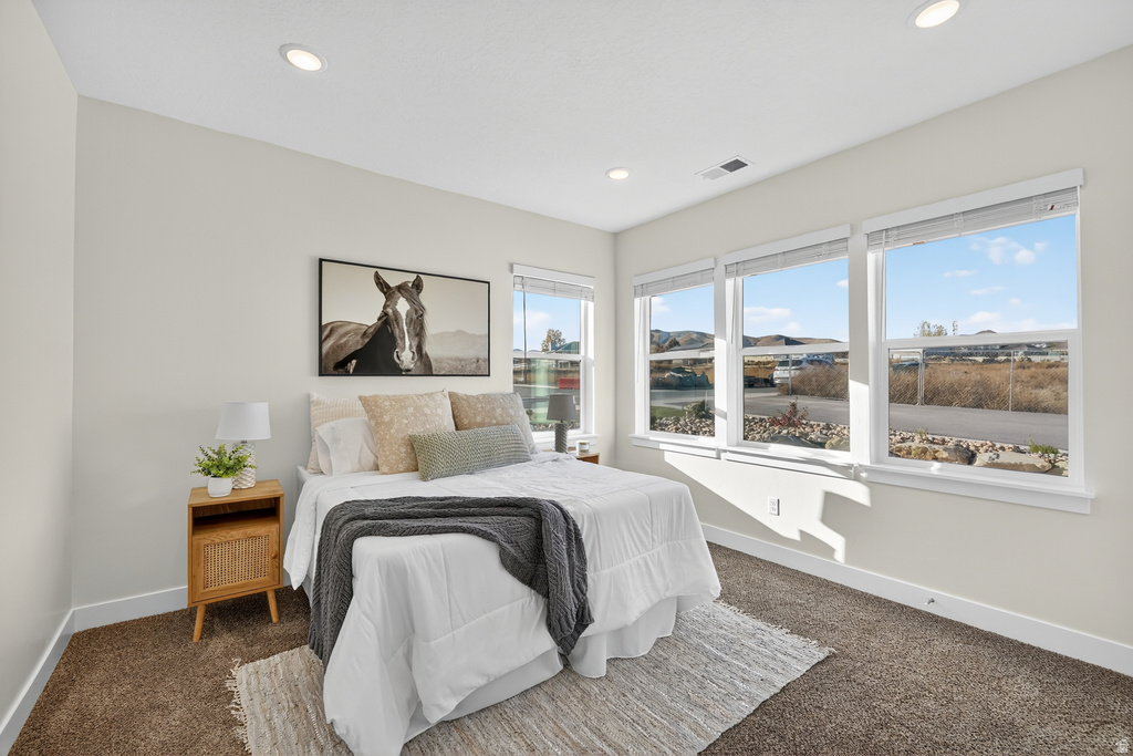 1502 N UTAH COTTAGE DR #C Saratoga Springs, UT 84045