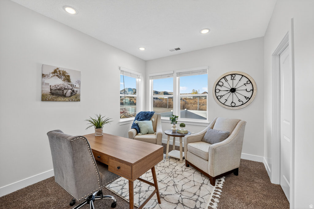 1502 N UTAH COTTAGE DR #C Saratoga Springs, UT 84045