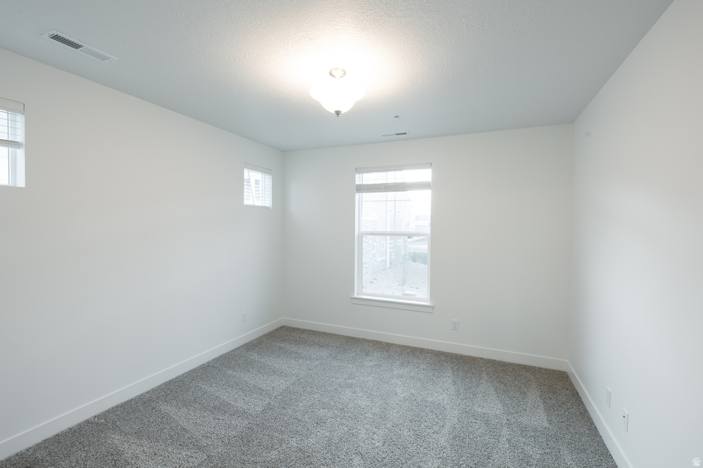 13687 S HANLEY LN #DD203 Riverton, UT 84096