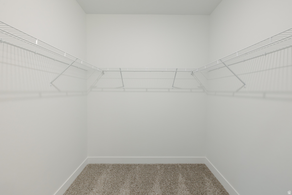 13687 S HANLEY LN #DD203 Riverton, UT 84096