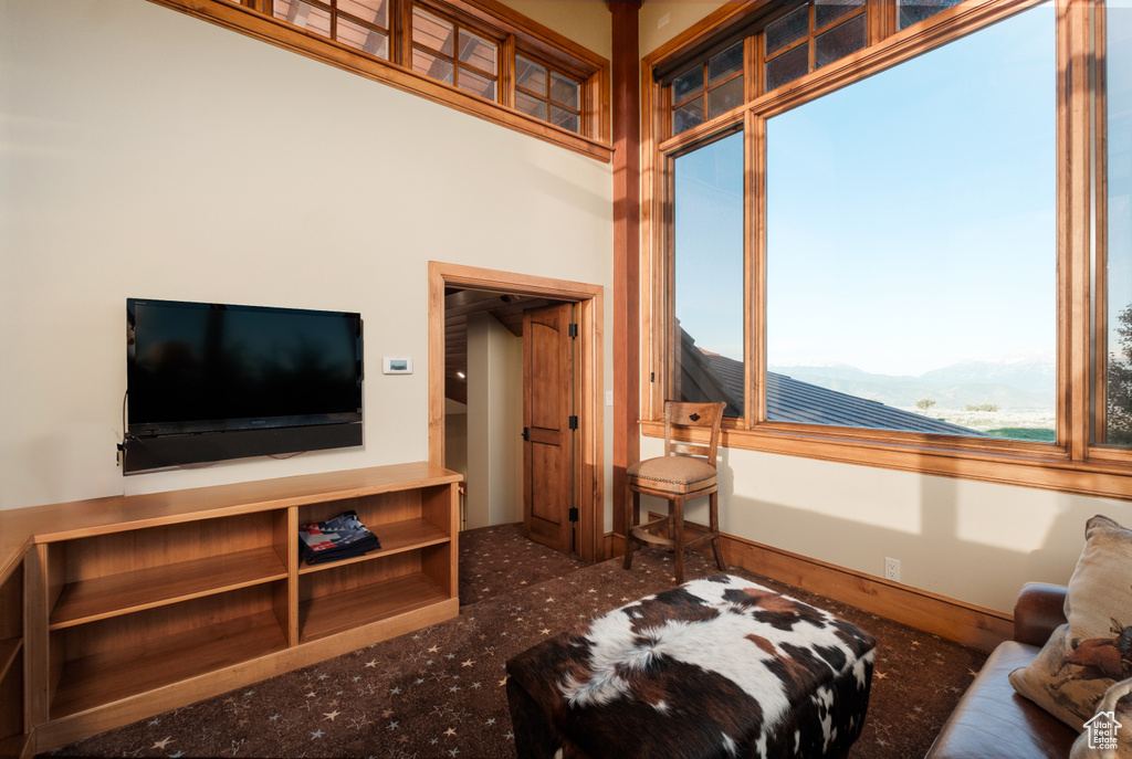 Living area featuring a mountain view, plenty of natural light, and carpet