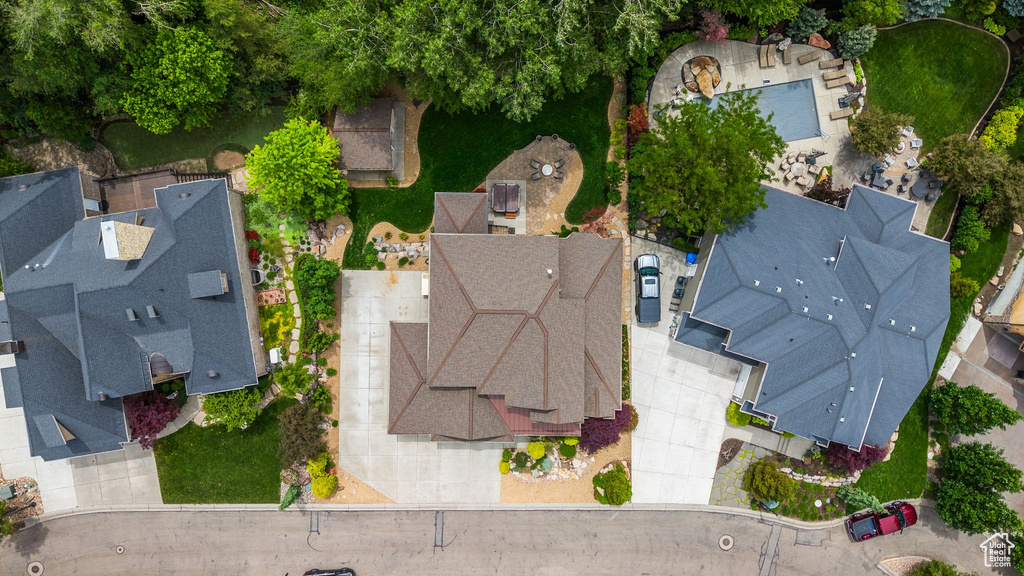Bird\'s eye view