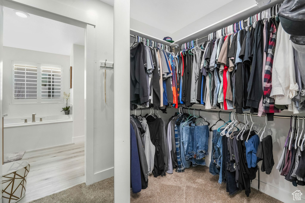 Walk in closet featuring carpet flooring