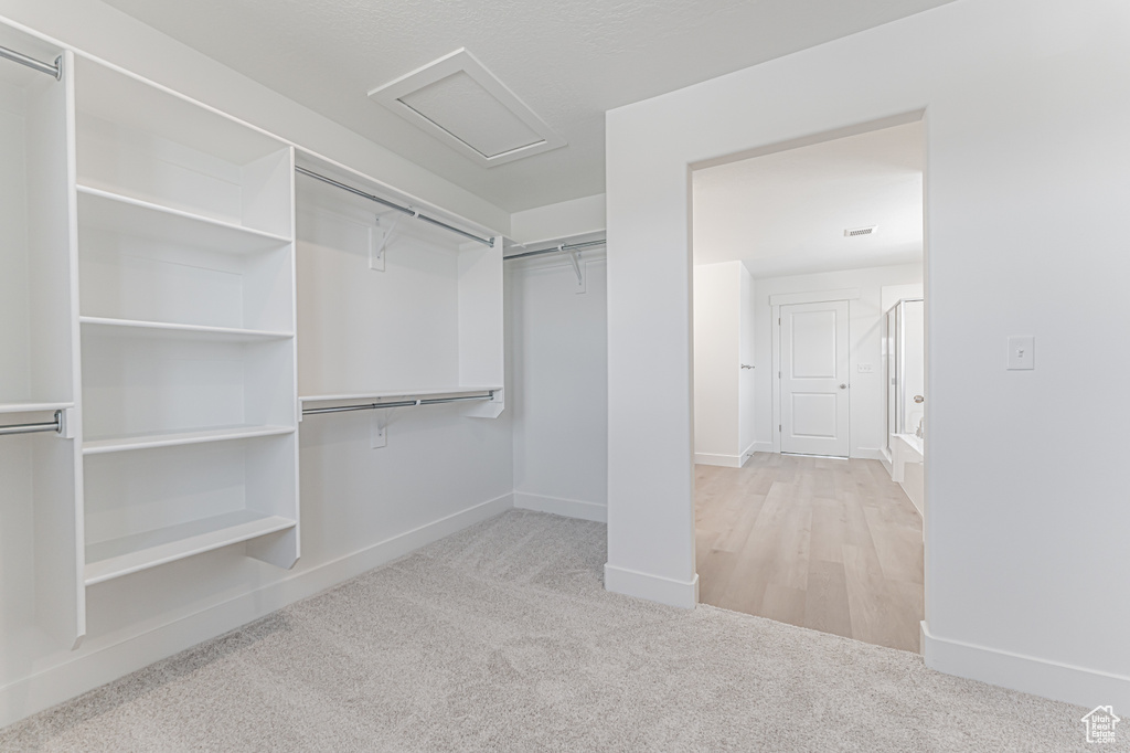Walk in closet featuring carpet flooring and attic access