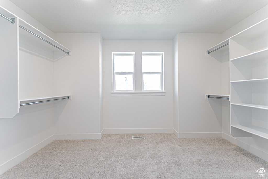 Spacious closet featuring carpet