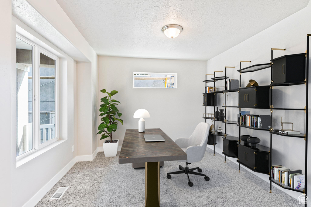 3736 S POWDERWOOD LN #229 Mapleton, UT 84664
