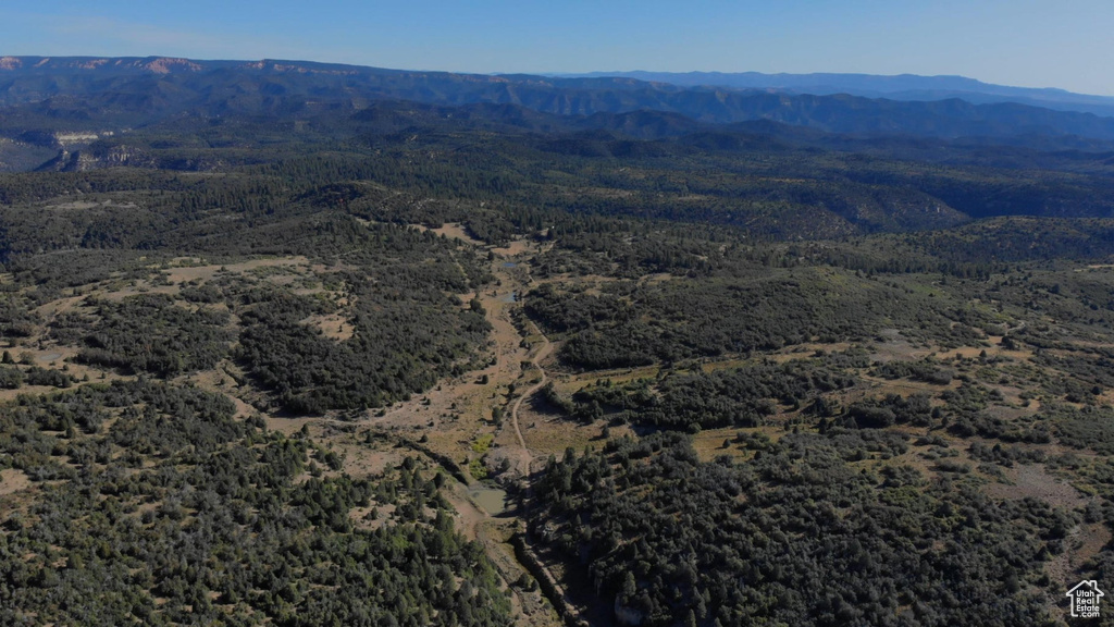 Bird\'s eye view with a wooded view and a mountain view