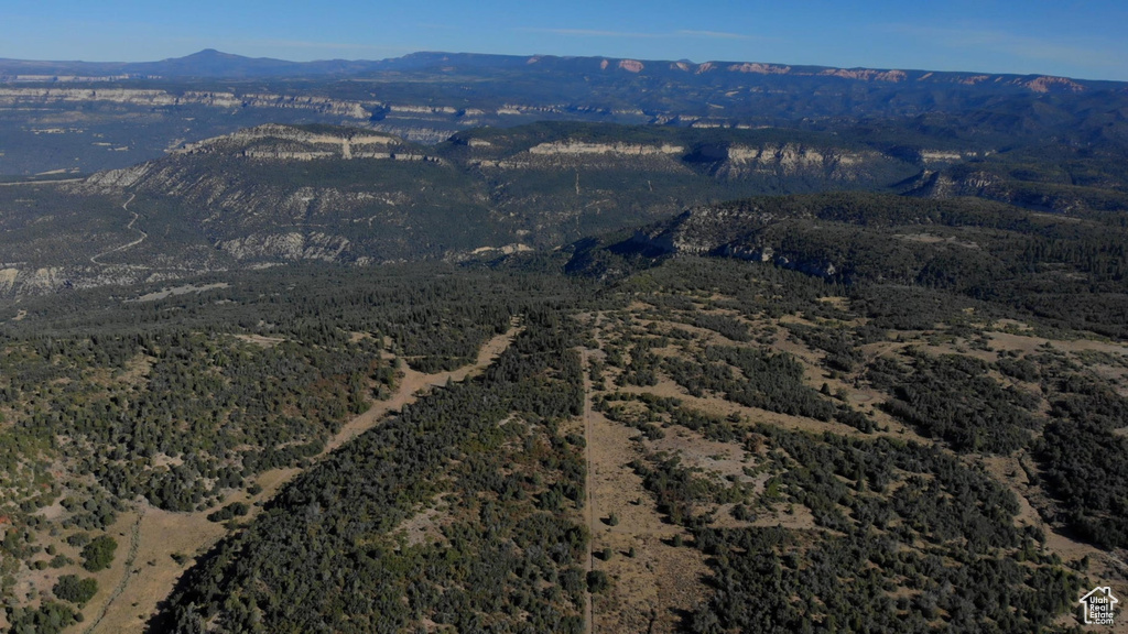 Drone / aerial view featuring a mountain view