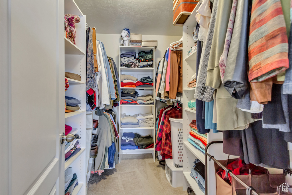 Walk in closet with carpet flooring