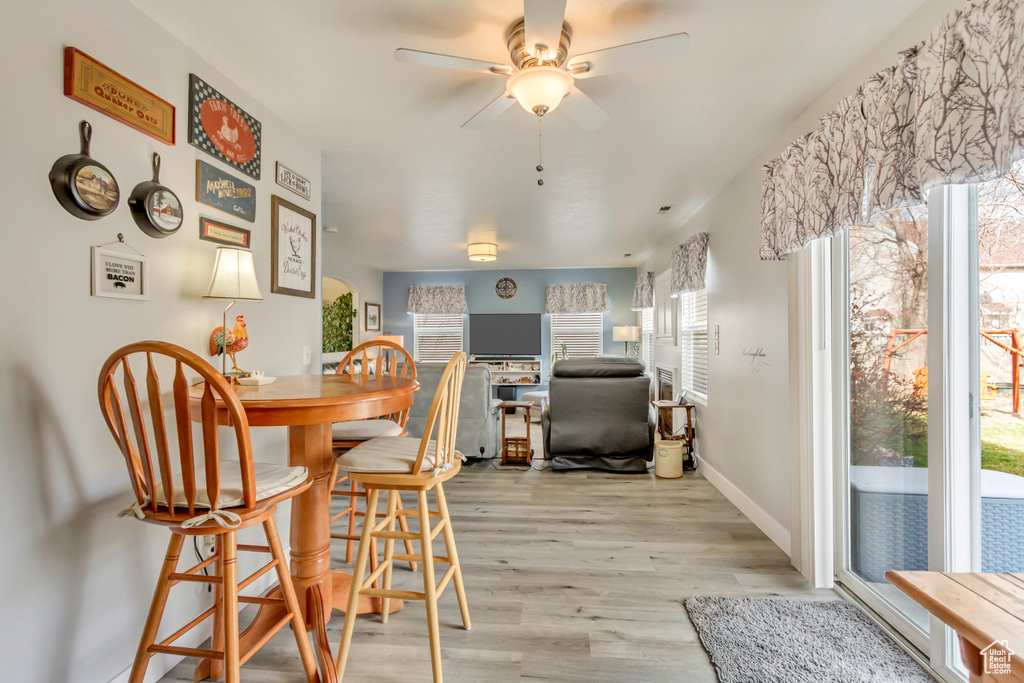 Dining area with a wealth of natural light, a ceiling fan, baseboards, and light wood finished floors