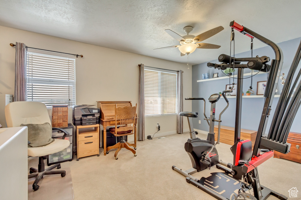 Workout room featuring a wealth of natural light, light colored carpet, and a textured ceiling