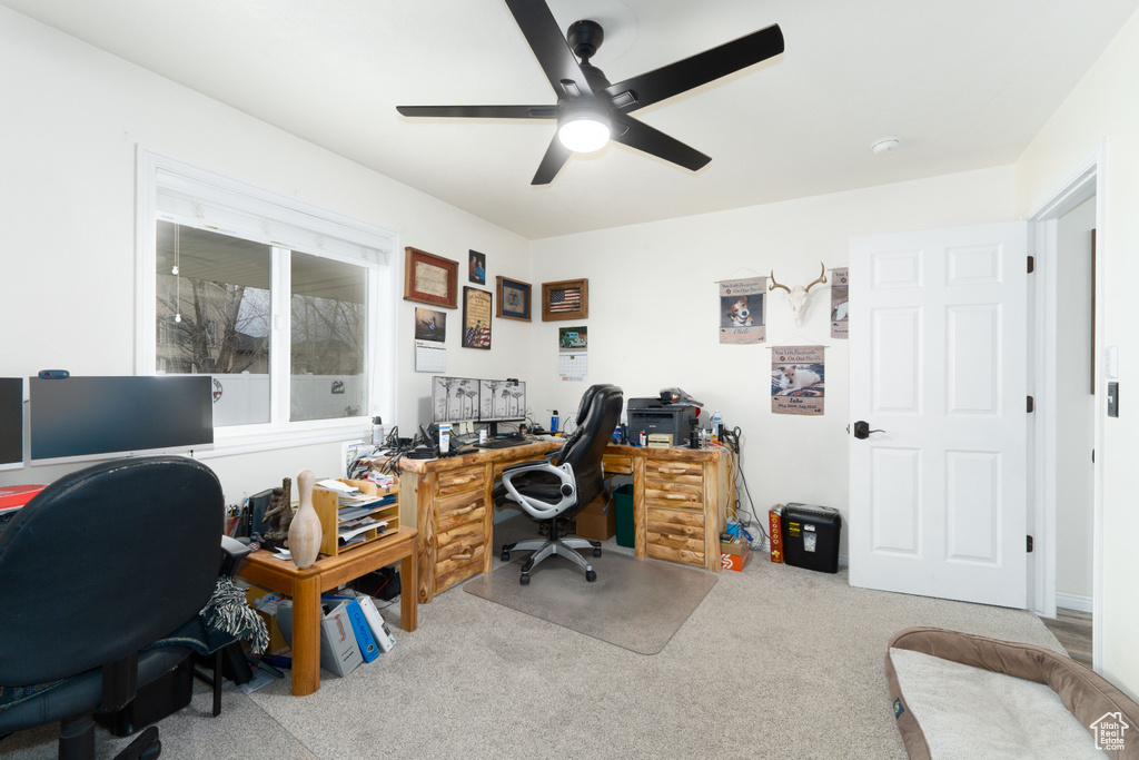 Office area with carpet and a ceiling fan
