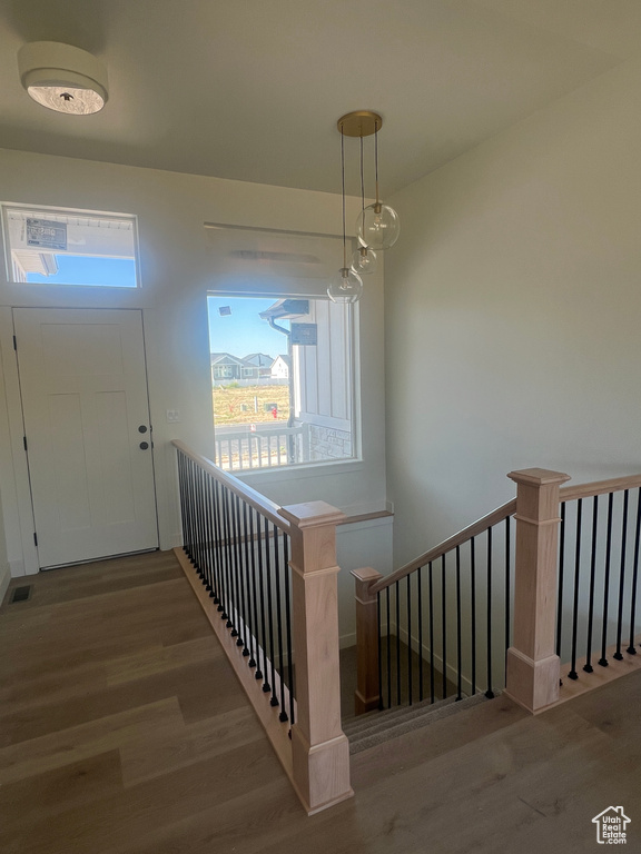 Stairway with wood finished floors and healthy amount of natural light