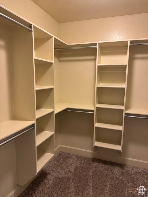 Walk in closet featuring dark carpet