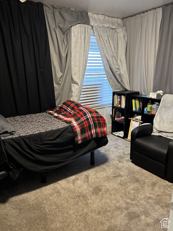 Bedroom featuring carpet floors