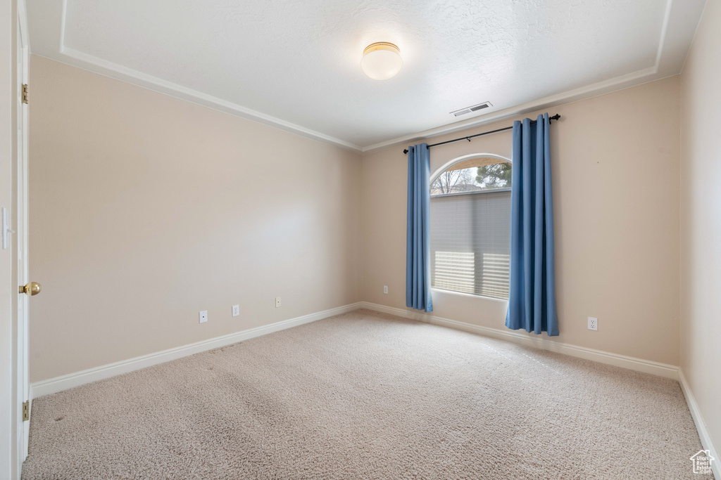 Spare room with visible vents, carpet floors, a textured ceiling, and baseboards
