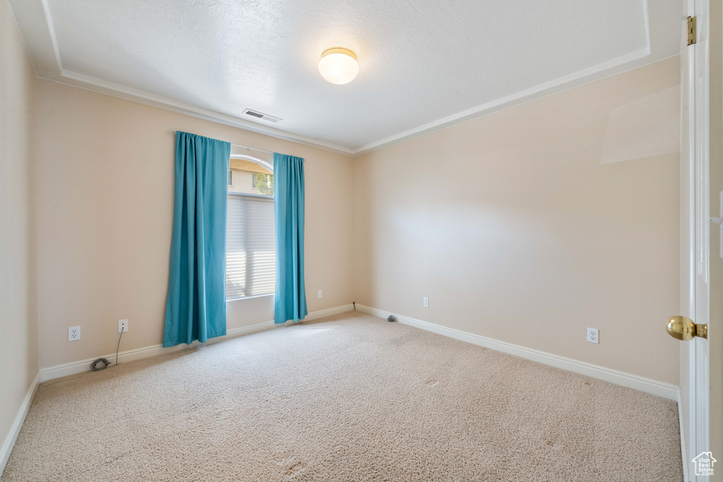 Carpeted spare room featuring visible vents and baseboards