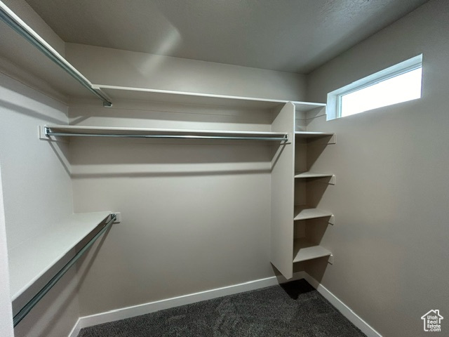 Walk in closet featuring dark carpet