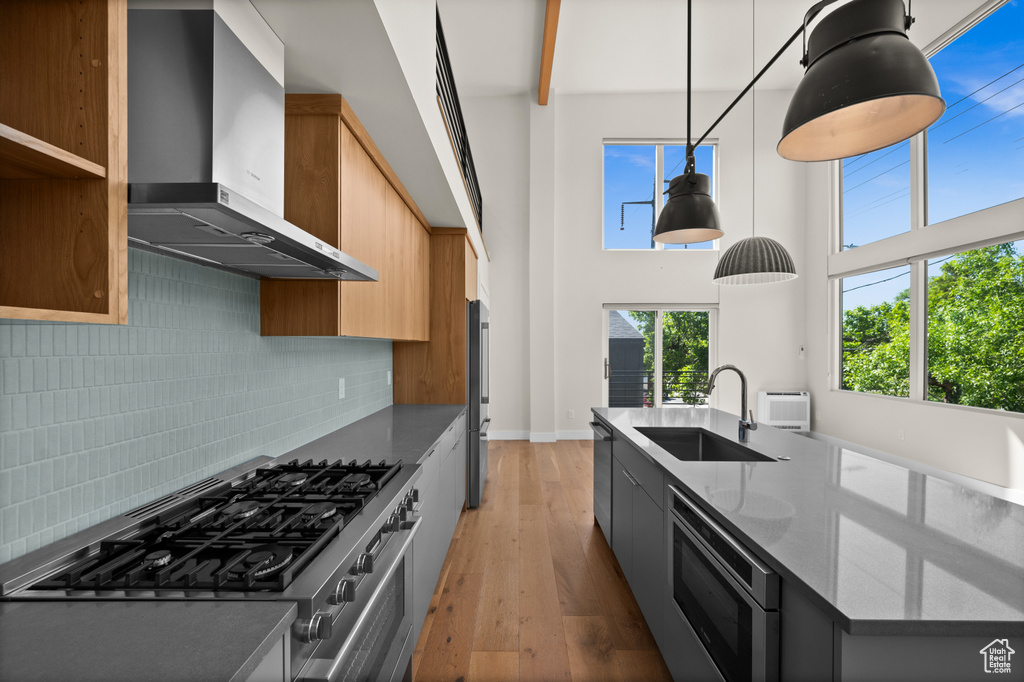 Kitchen featuring wall chimney exhaust hood, stainless steel appliances, a sink, light wood-style flooring, and healthy amount of natural light