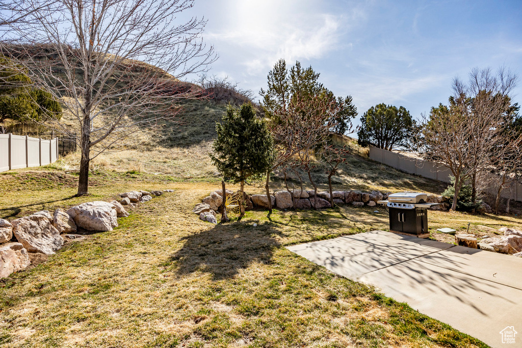 View of yard with a patio area
