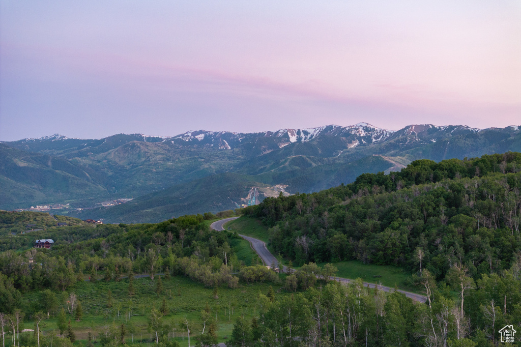 View of mountain backdrop with a forest
