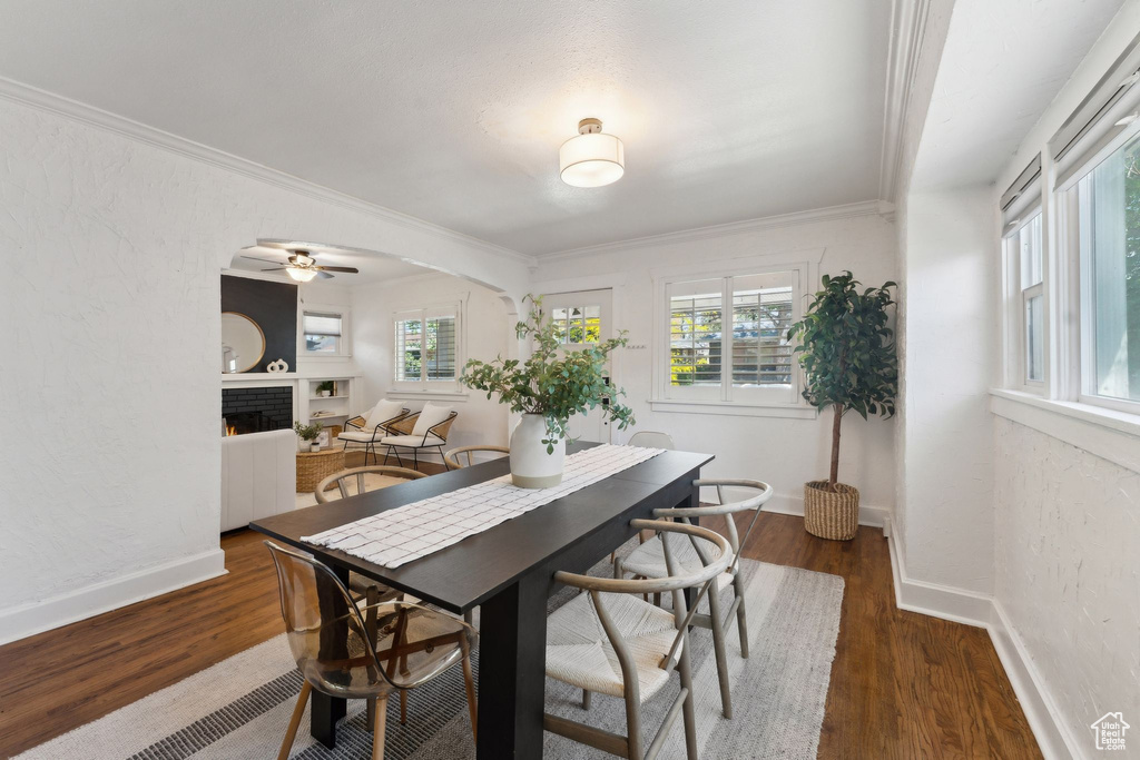 Dining area featuring a healthy amount of sunlight, crown molding, a brick fireplace, and ceiling fan