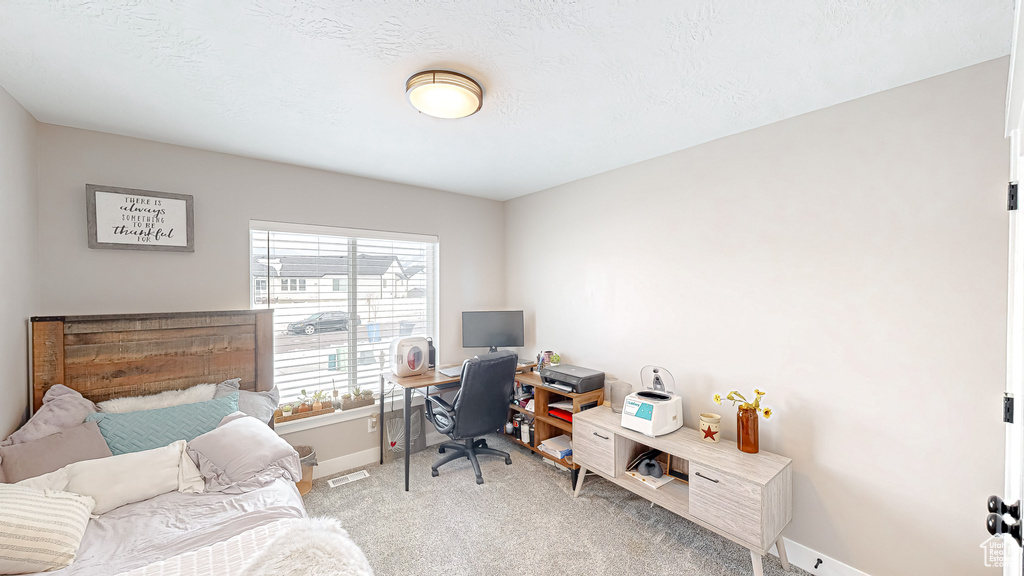 Home office featuring light carpet, visible vents, a textured ceiling, and baseboards