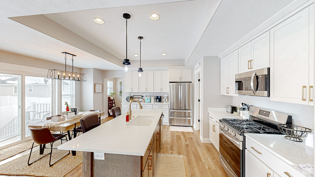 Kitchen with recessed lighting, light wood-style floors, stainless steel appliances, a raised ceiling, and a sink