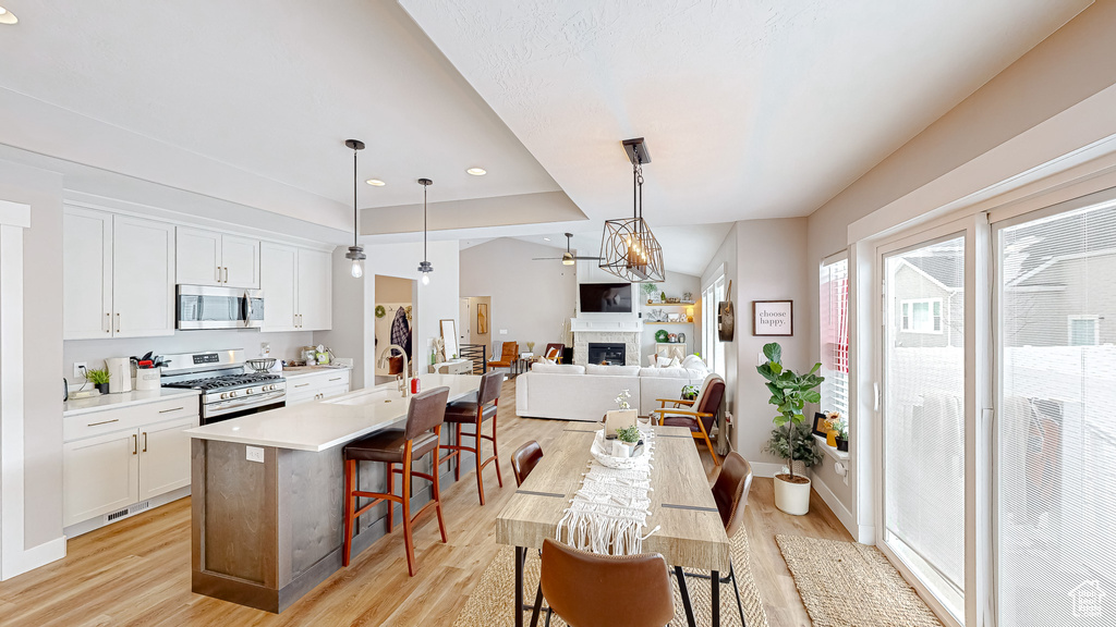 Kitchen featuring ceiling fan, appliances with stainless steel finishes, a fireplace, light wood-style floors, and a sink