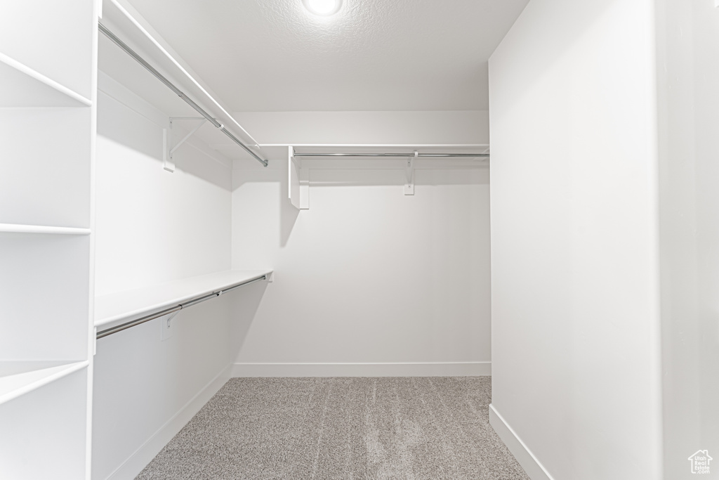 Spacious closet featuring carpet