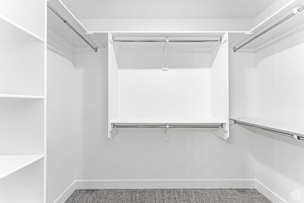 Walk in closet with light colored carpet