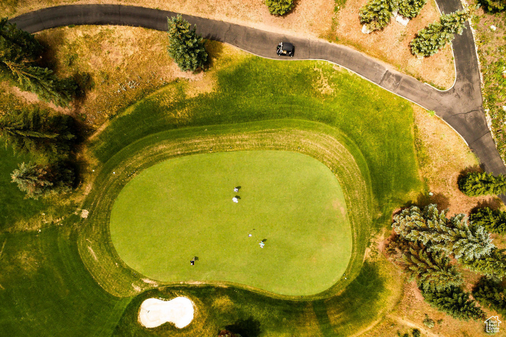 Aerial view of a local golf course