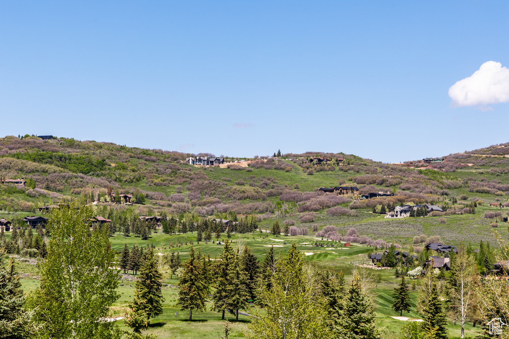 Mountain view