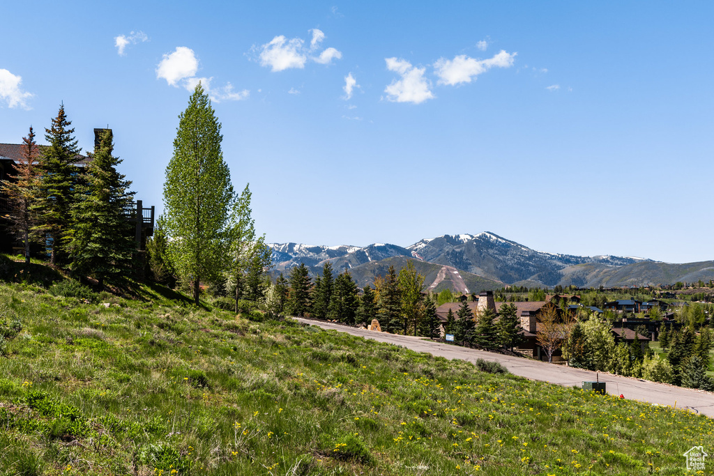 Mountain view