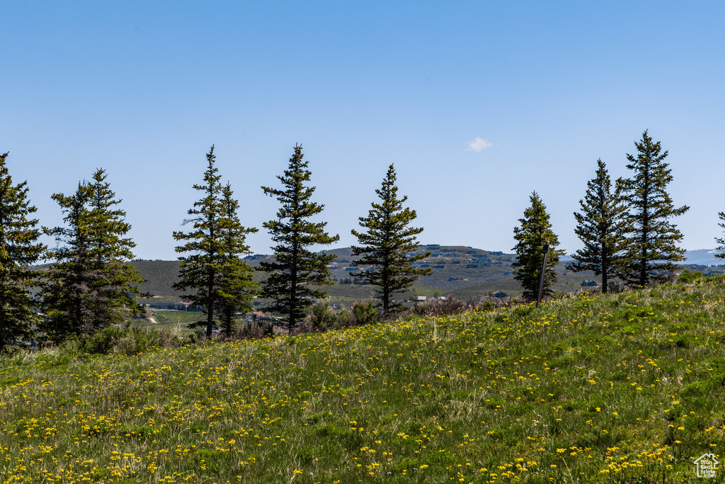 View of mountain backdrop