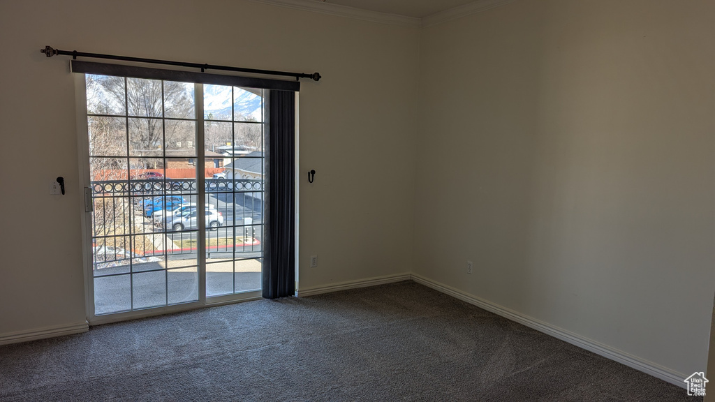 Carpeted spare room featuring crown molding and baseboards