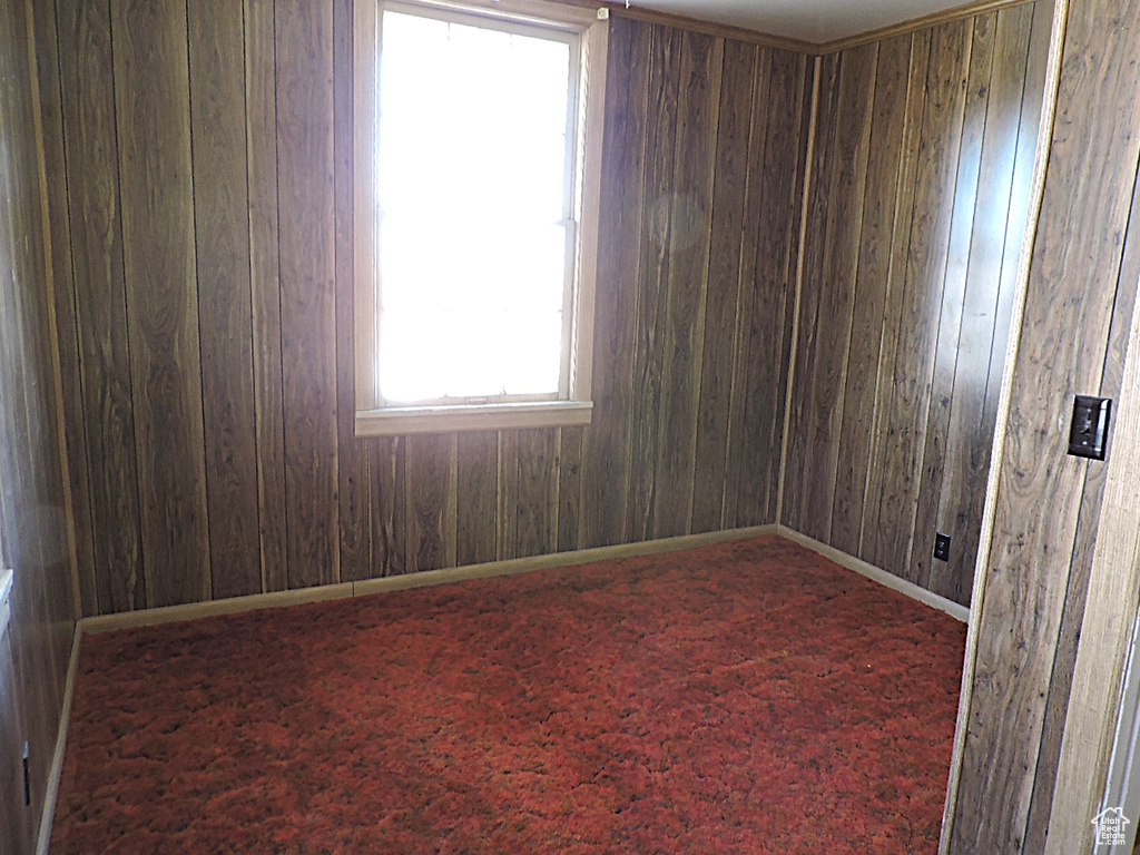 Empty room featuring wood walls, baseboards, and carpet