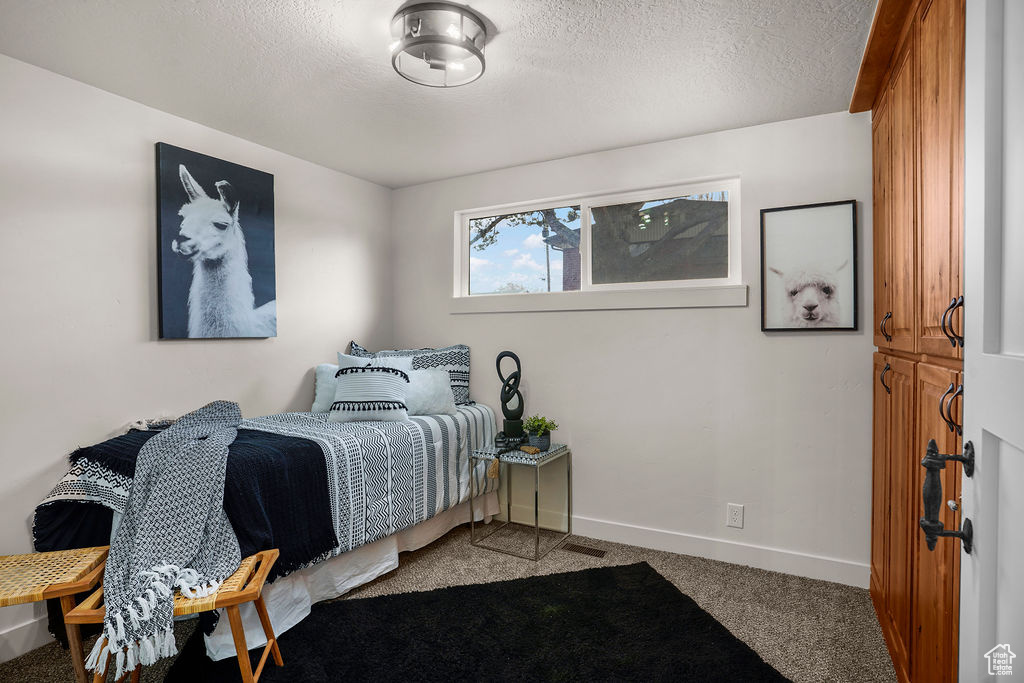 Bedroom with baseboards, carpet floors, and a textured ceiling