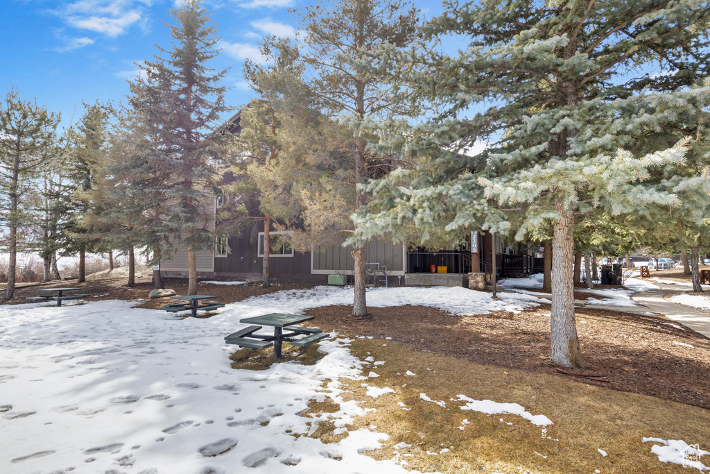 View of yard layered in snow