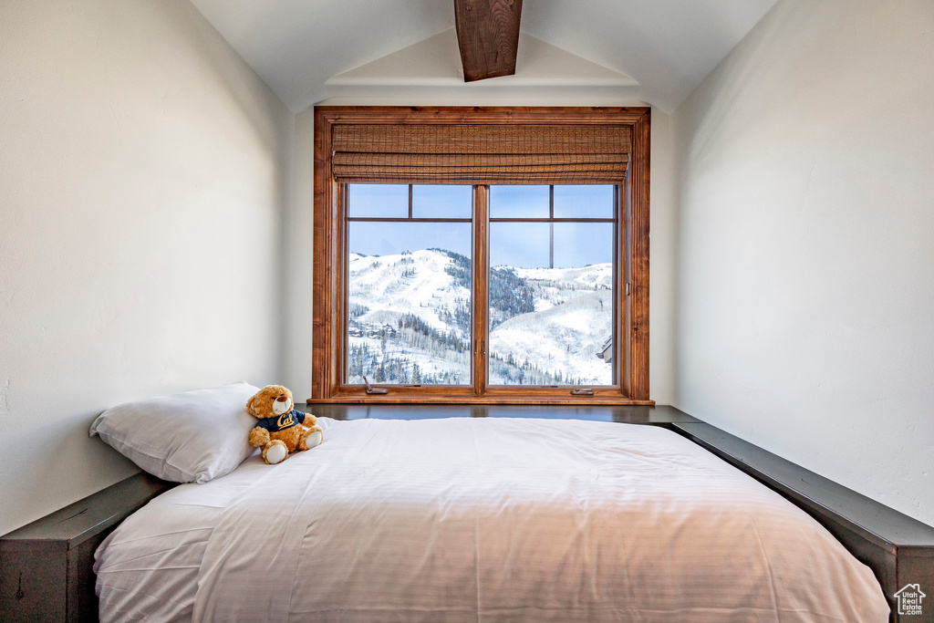Bedroom featuring lofted ceiling