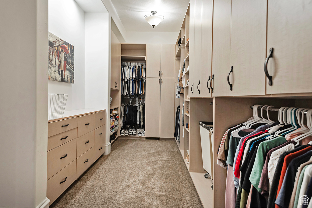 Spacious closet with light carpet
