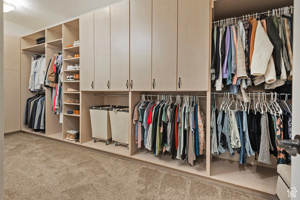 Spacious closet with carpet